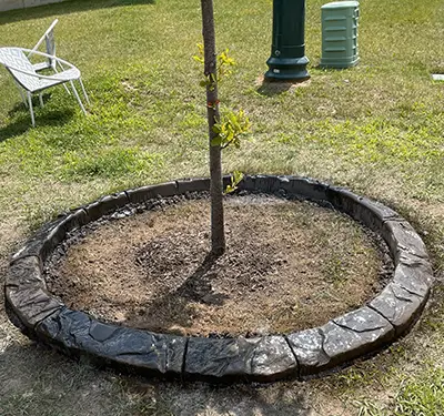 concrete curbing around a tree - Belleville, IL & the Metro East