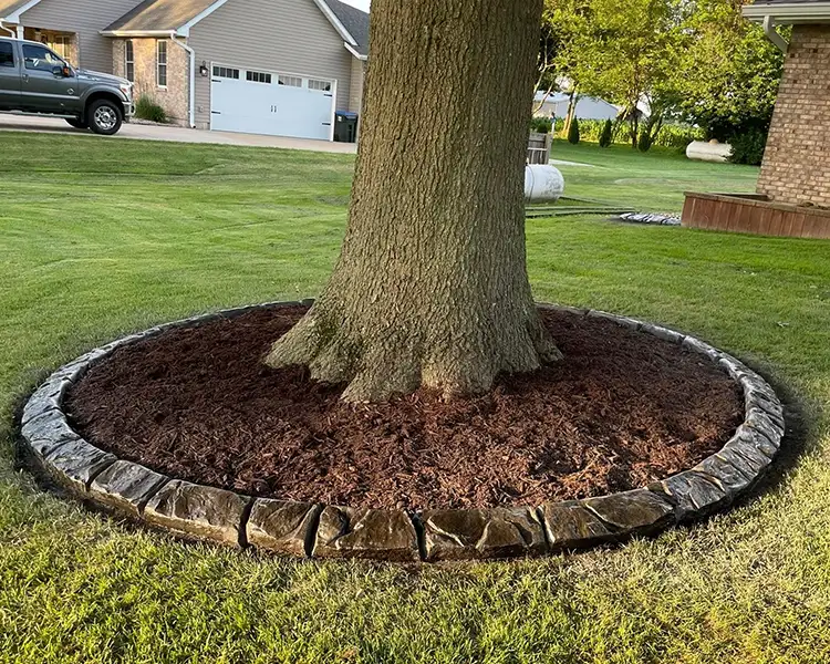 Permanent Exterior Solutions, LLC - Decorative edging around trees in Belleville, IL & the Metro East