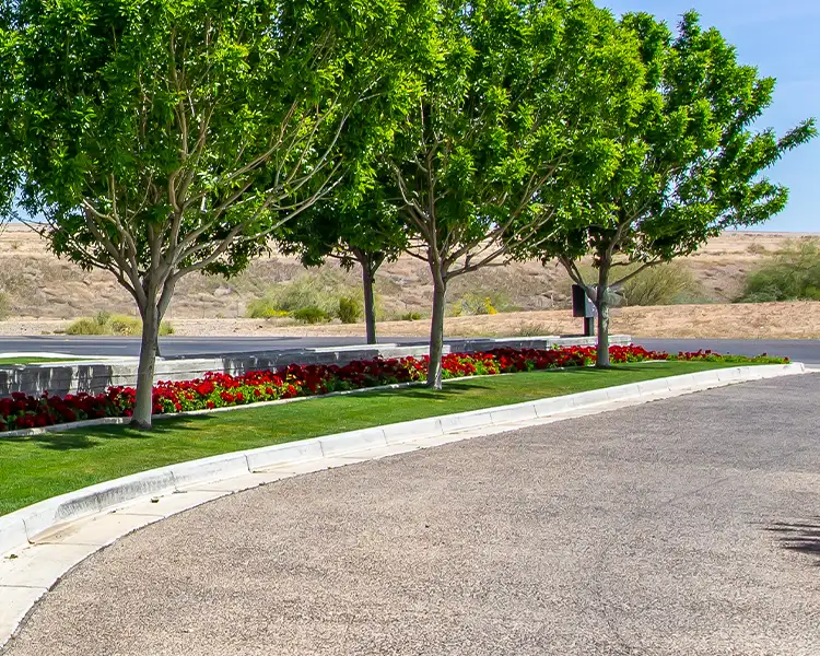 Permanent Exterior Solutions, LLC - Concrete Services, curbing for commercial landscaping - Belleville, IL & the Metro East